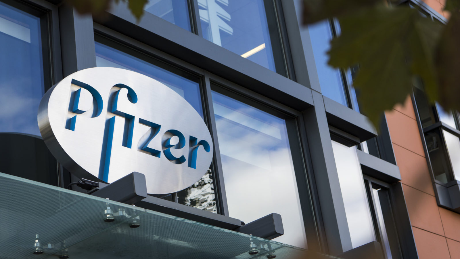Pfizer Acquires Amplyx Pharmaceuticals